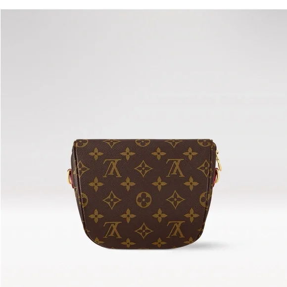 Louis Vuitton Mini Bum Bag Monogram NWT box and reciept - Picture 3 of 8